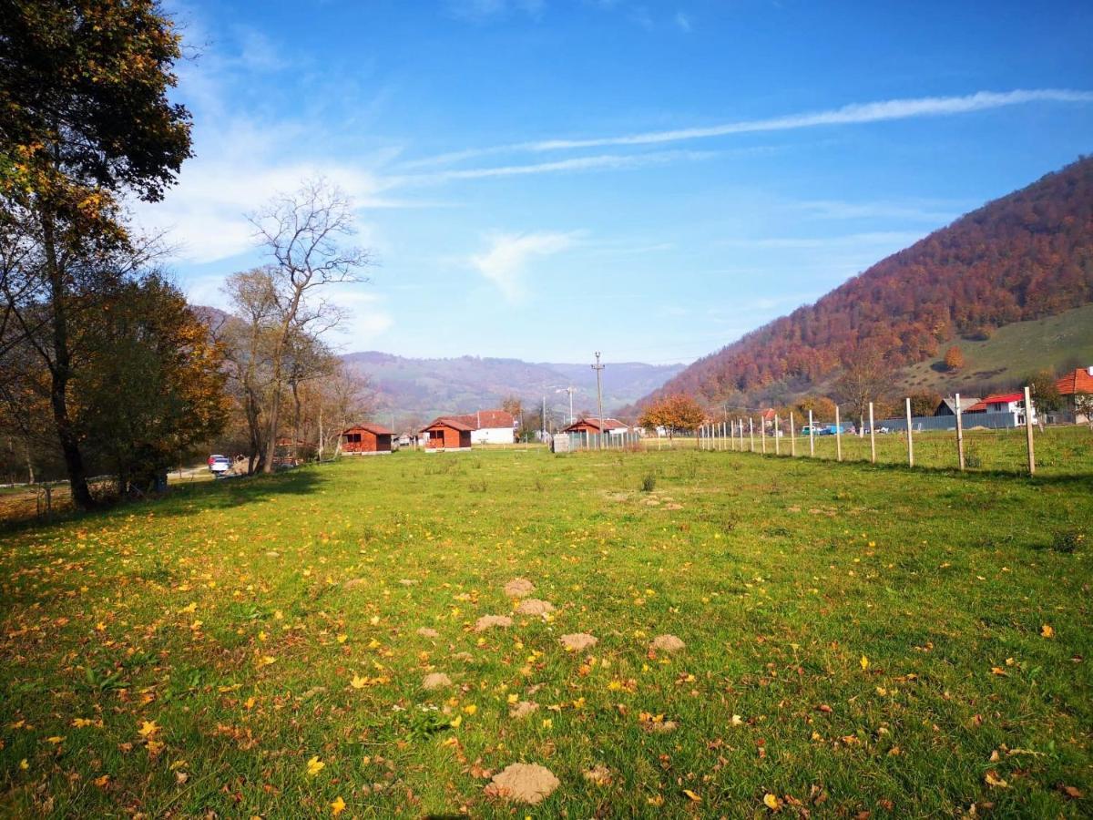 Casute Zavoi Bulz Villa Eksteriør bilde