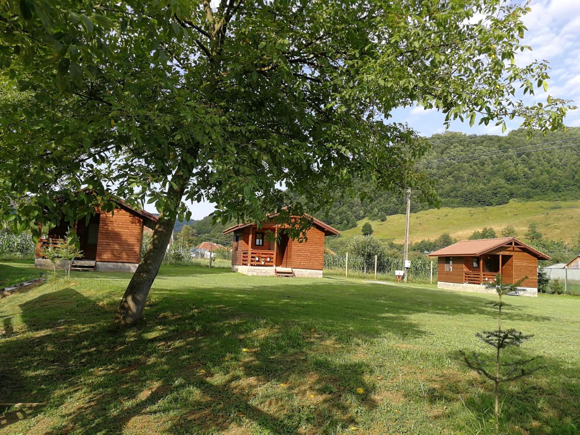 Casute Zavoi Bulz Villa Eksteriør bilde