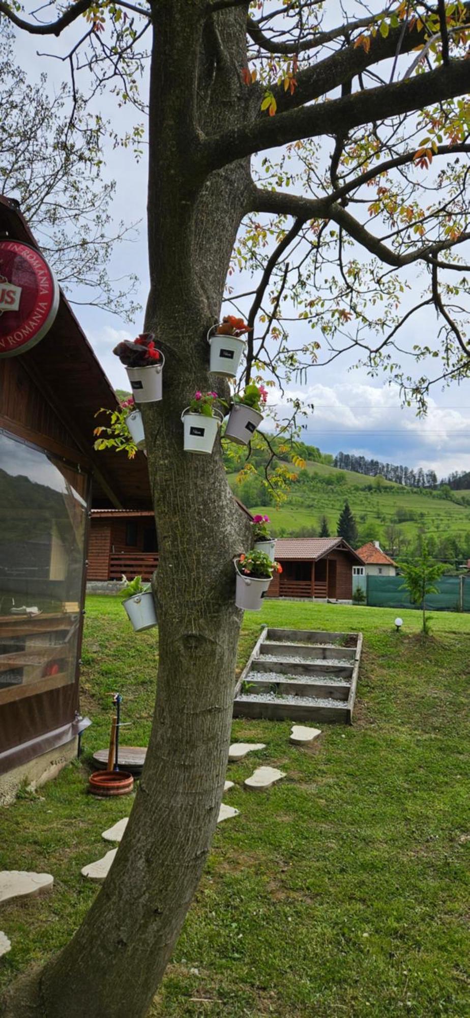 Casute Zavoi Bulz Villa Eksteriør bilde