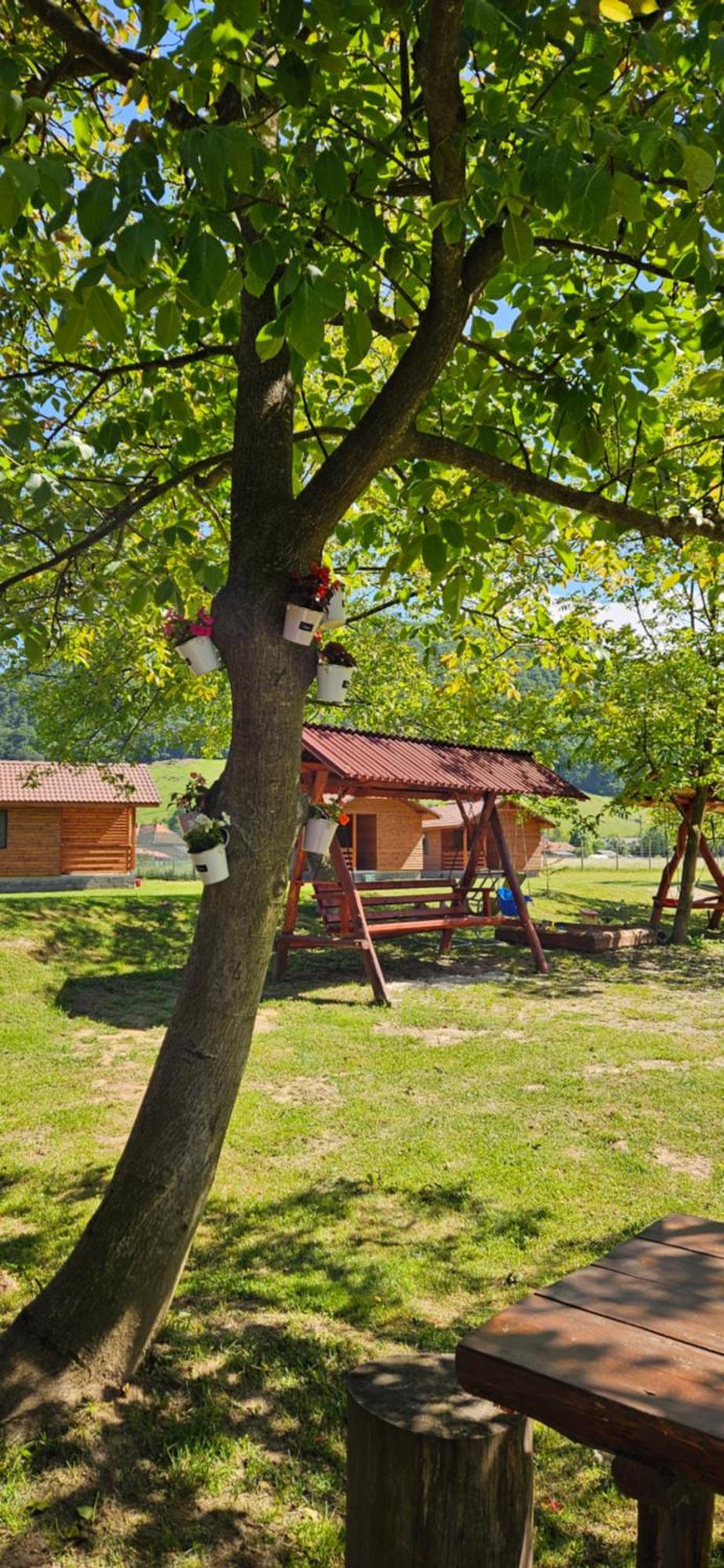 Casute Zavoi Bulz Villa Eksteriør bilde