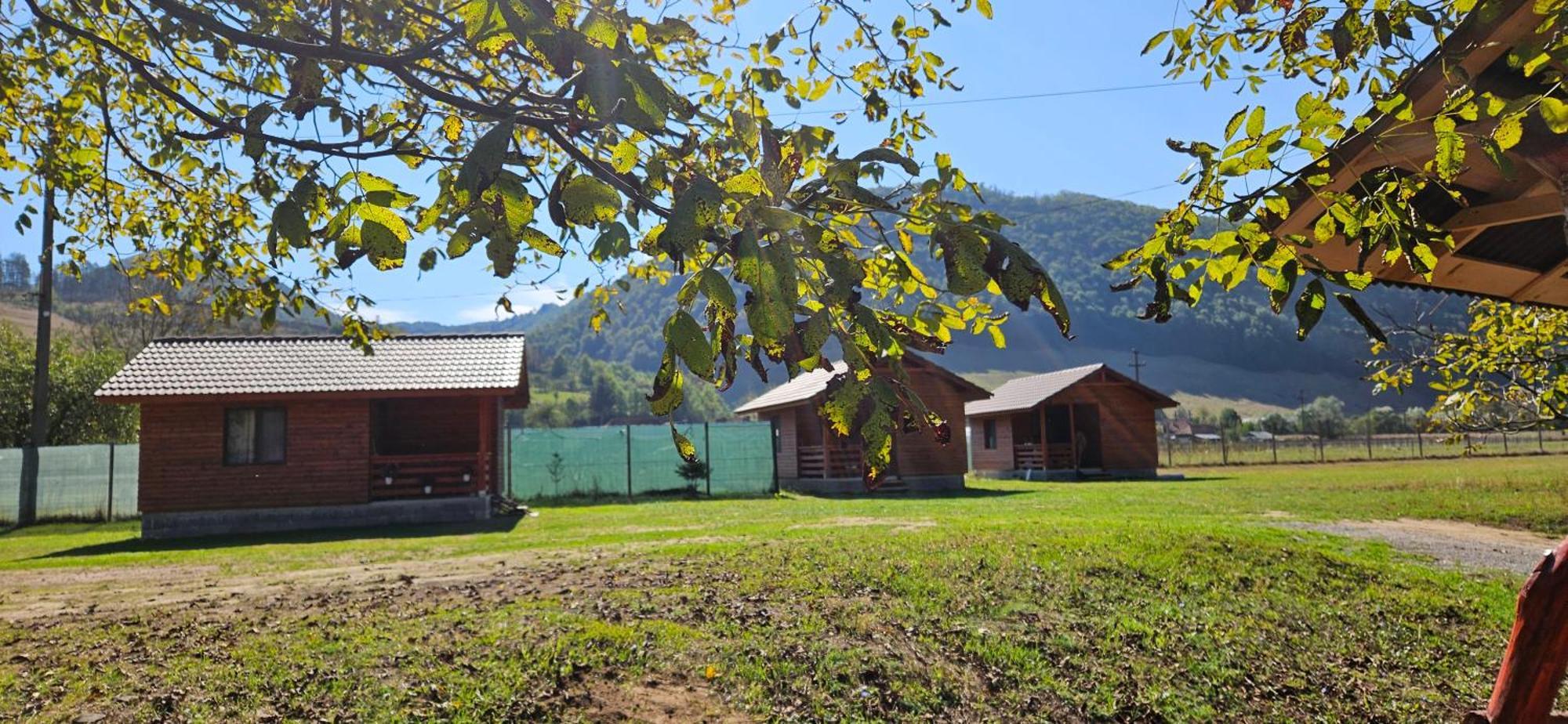 Casute Zavoi Bulz Villa Eksteriør bilde